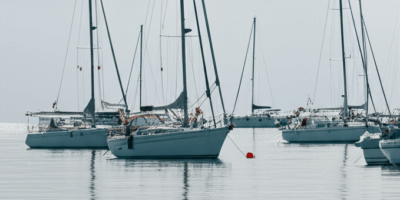 Barnacles on the Hull Again