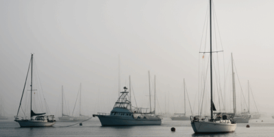 Fog Rolled In Thick This Morning