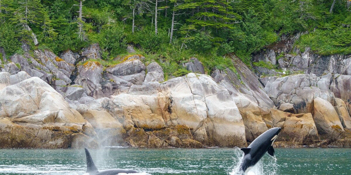 How to Fix Gelcoat Cracks and Osmotic Blisters in Fiberglass